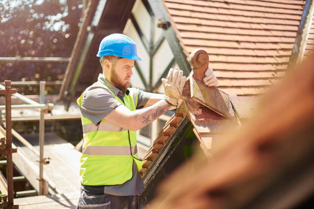 Best Storm Damage Roof Repair  in Clayton, NM